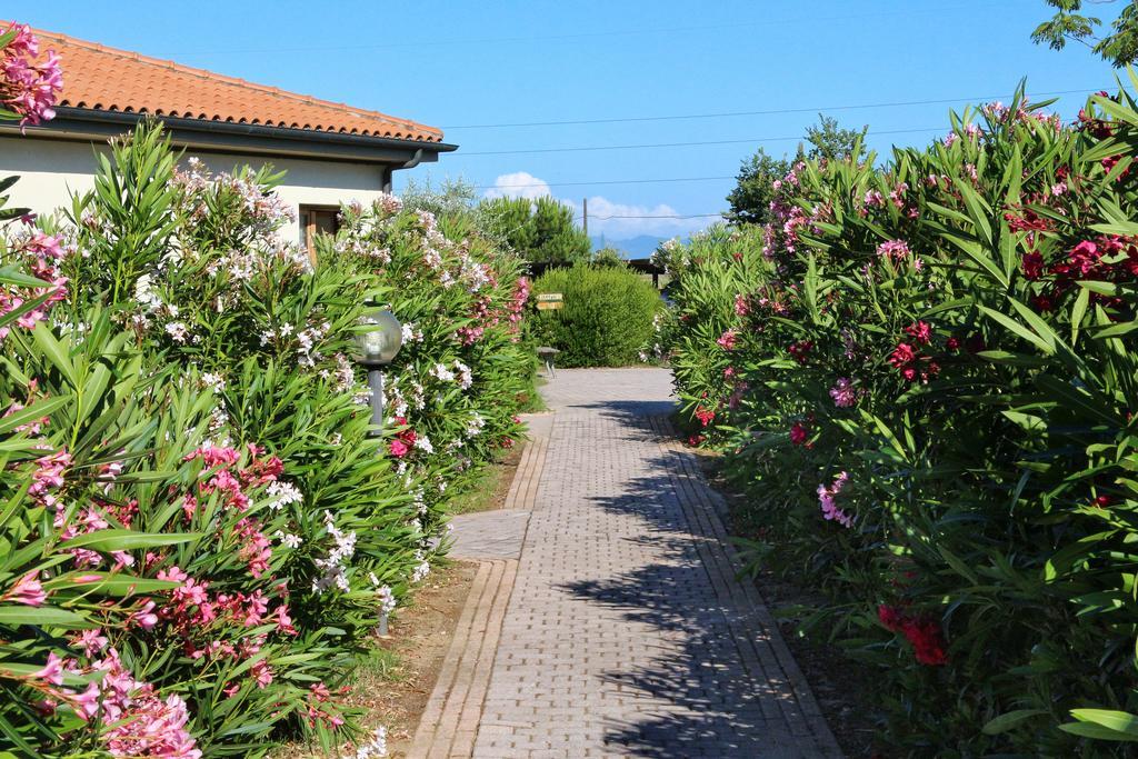 Agriturismo Gli Etruschi โปปูโลเนีย ภายนอก รูปภาพ