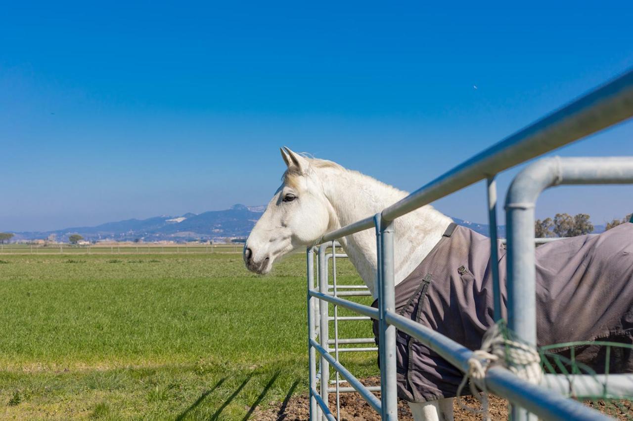 Agriturismo Gli Etruschi โปปูโลเนีย ภายนอก รูปภาพ