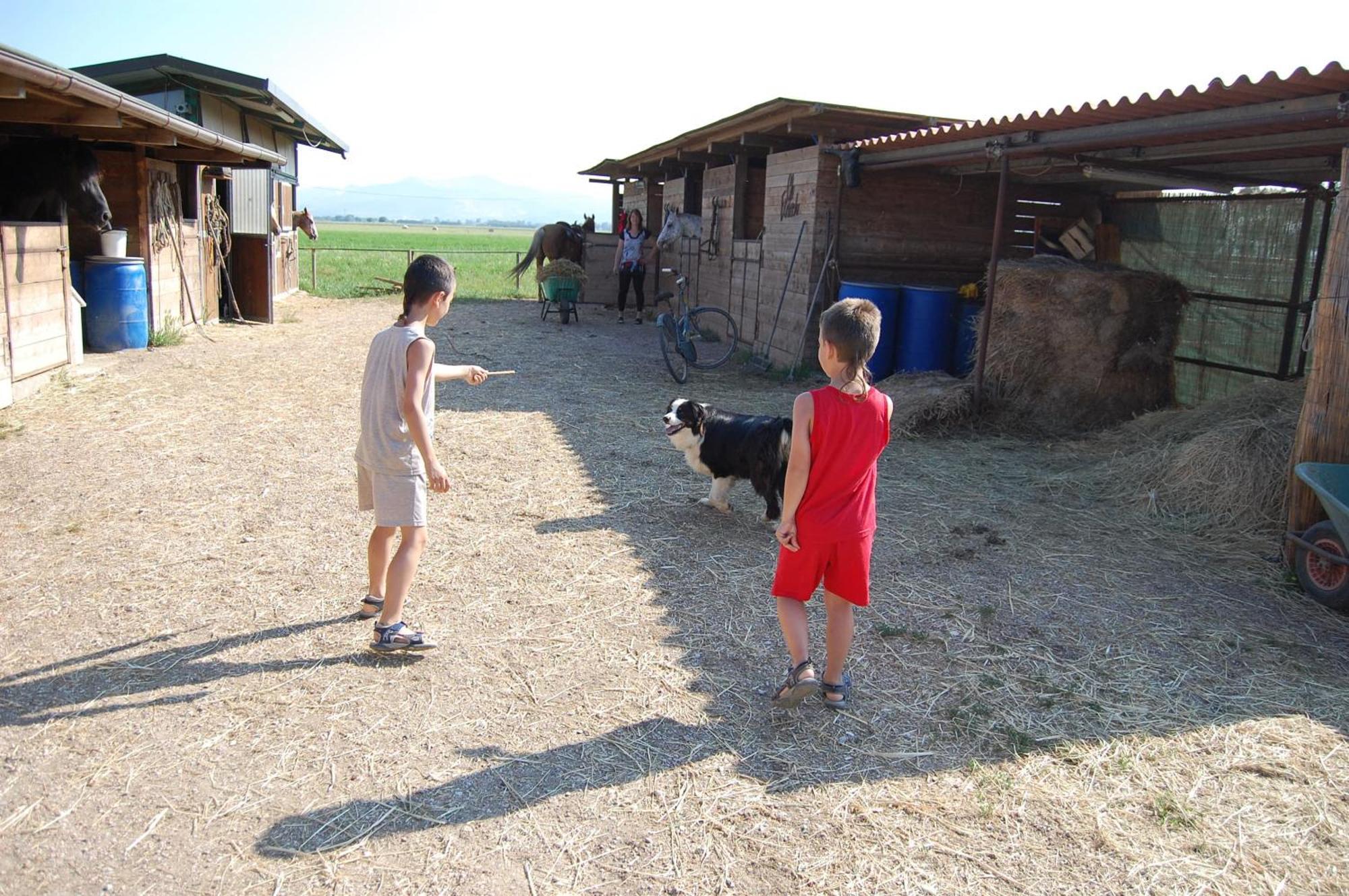 Agriturismo Gli Etruschi โปปูโลเนีย ภายนอก รูปภาพ