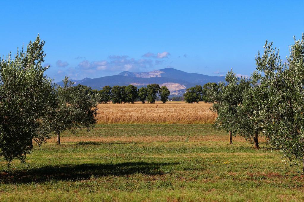 Agriturismo Gli Etruschi โปปูโลเนีย ภายนอก รูปภาพ